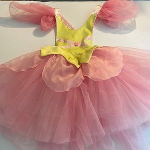 Fairytale Fashion Cute Fairy Costume for a 3-8 Year Old